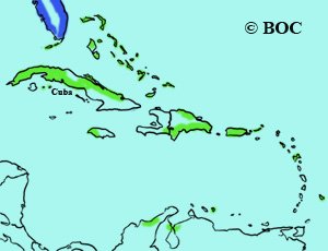 Piping Plover range