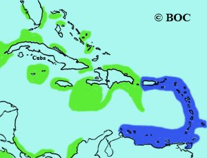 Red-footed Booby range