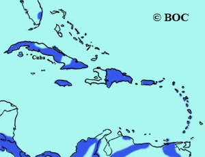 Ruddy Quail-Dove range