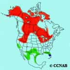 Sandhill Crane range
