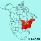 Scarlet Tanager range