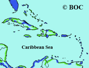 Semipalmated Plover range