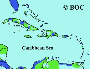 Solitary Sandpiper range