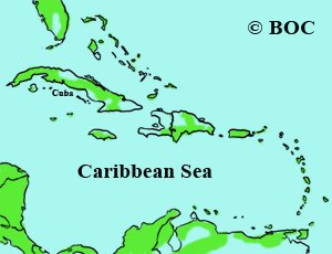 Tennessee Warbler range