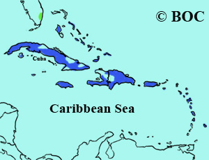 West Indian Whistling-Duck range