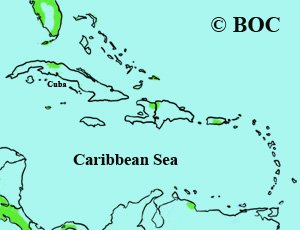 Western Tanager range