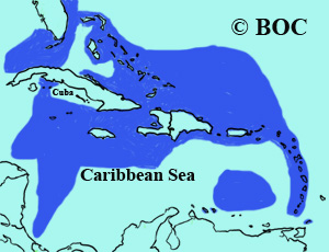 White-tailed Tropicbird range