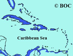 Wilson's Plover range